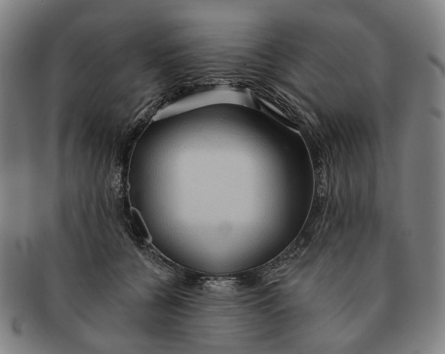 X0000090980560200708301251