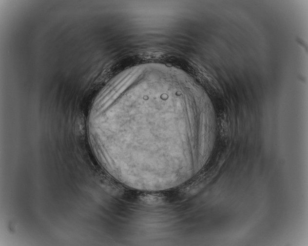 X0000090980561200708301251