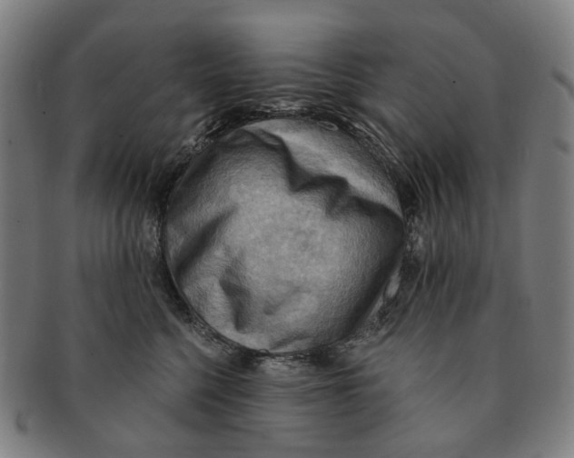 X0000090980568200708301252