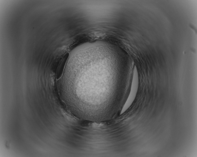 X0000090980570200708301252