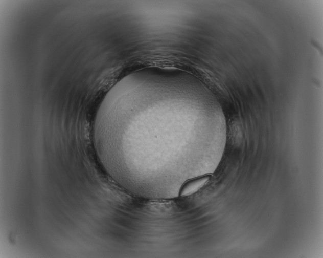 X0000090980571200708301252