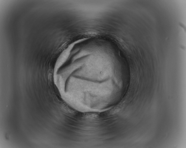 X0000090980576200708301252