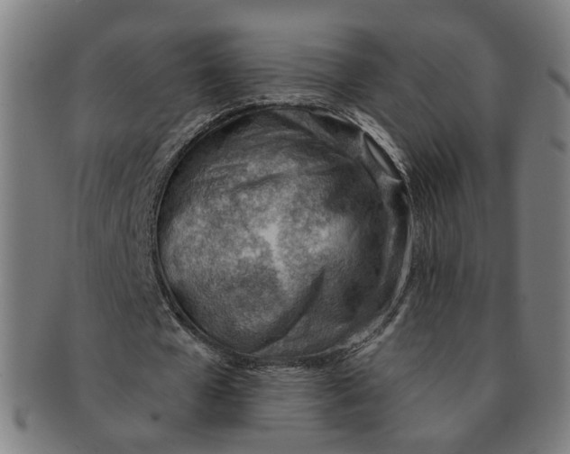 X0000090980577200708301251