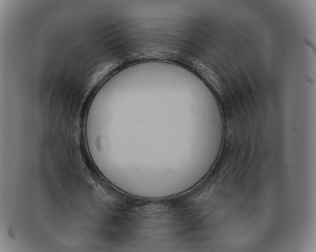 X0000090980578200708301251
