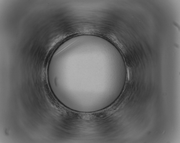 X0000090980579200708301251