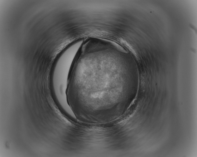 X0000090980581200708301251