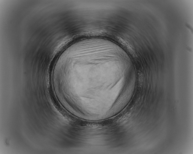 X0000090980582200708301251