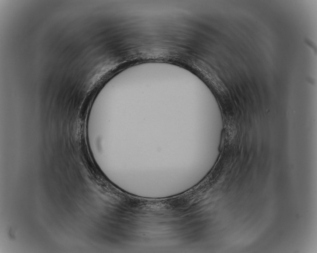 X0000090980583200708301251
