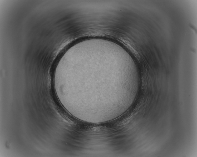 X0000090980584200708301251