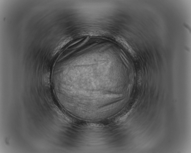 X0000090980585200708301251