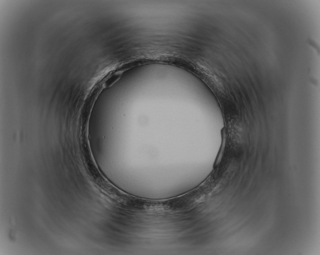 X0000090980587200708301251