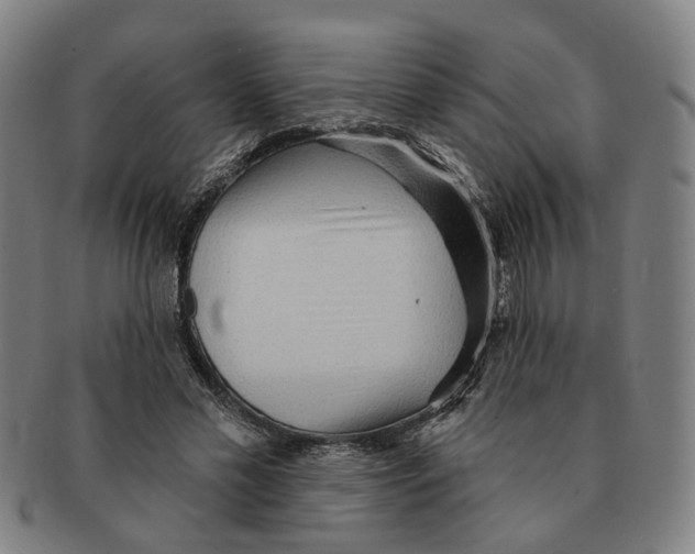 X0000090980589200708301251