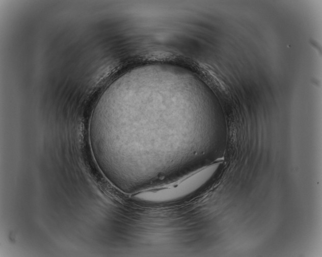 X0000090980591200708301251