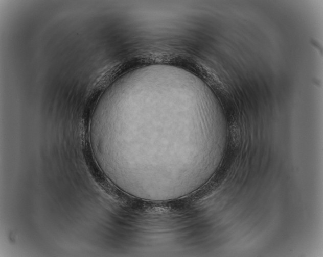X0000090980594200708301251