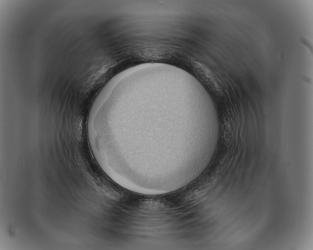 X0000090980596200708301251