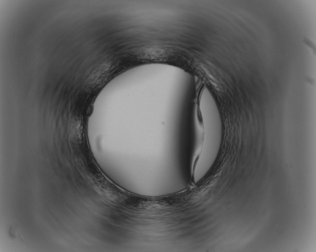X0000090980597200708301251