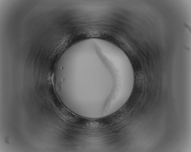 X0000090980598200708301251