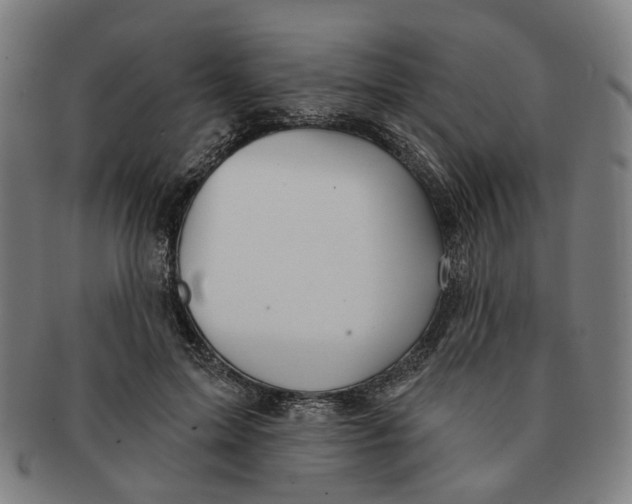 X0000090980599200708301251