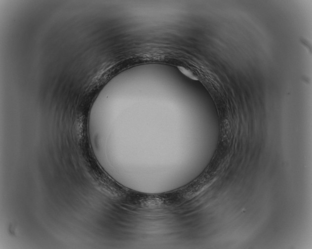 X0000090980600200708301251