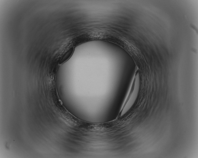 X0000090980601200708301251