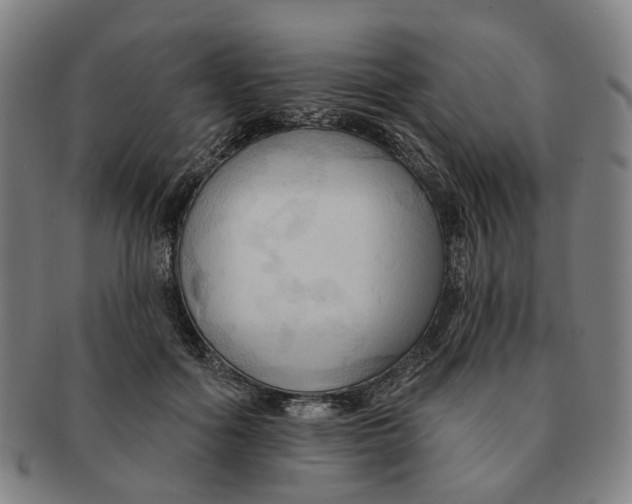 X0000090980602200708301251