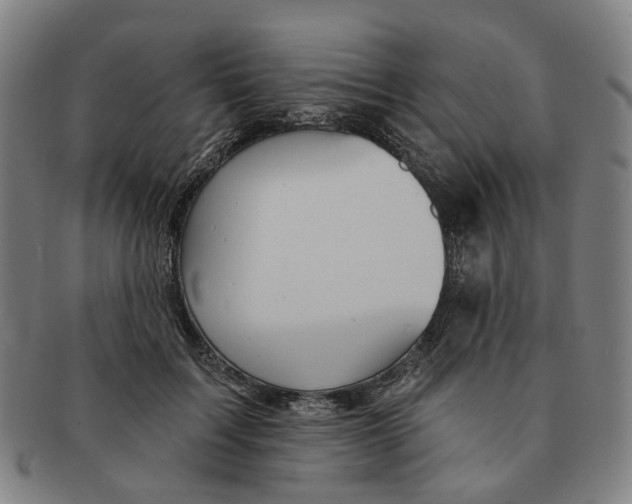 X0000090980603200708301251
