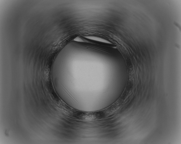 X0000090980604200708301251