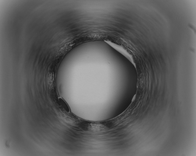 X0000090980605200708301251
