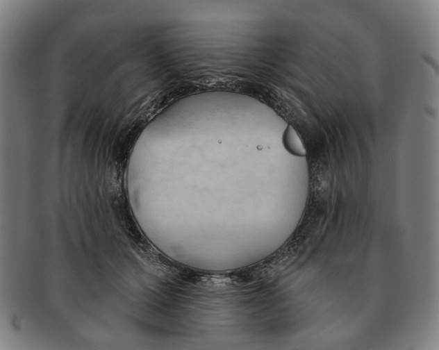 X0000090980607200708301251