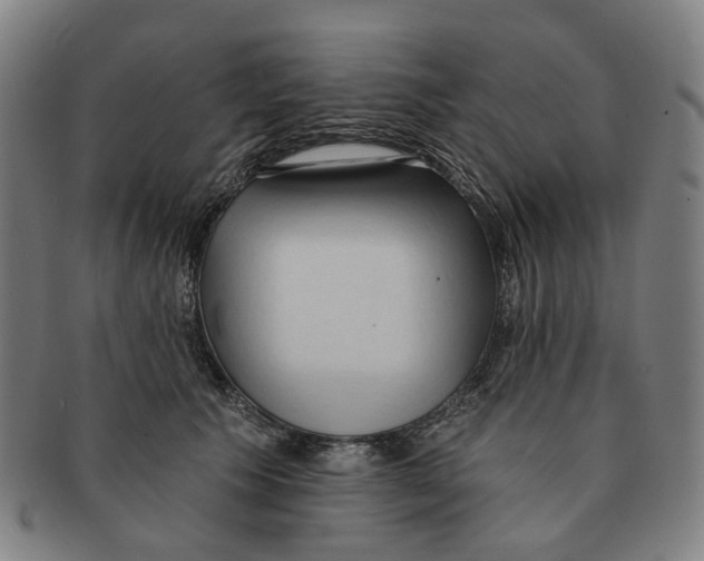 X0000090980609200708301251