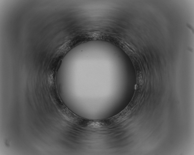 X0000090980611200708301251