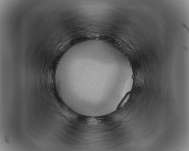 X0000090980616200708301250