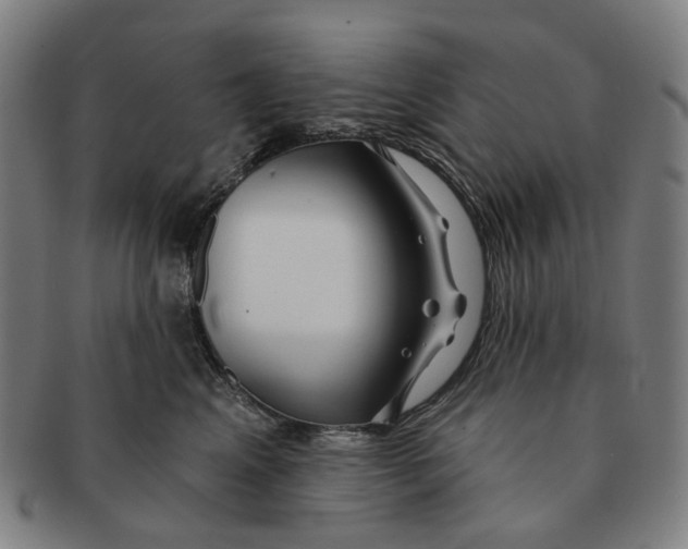 X0000090980617200708301250