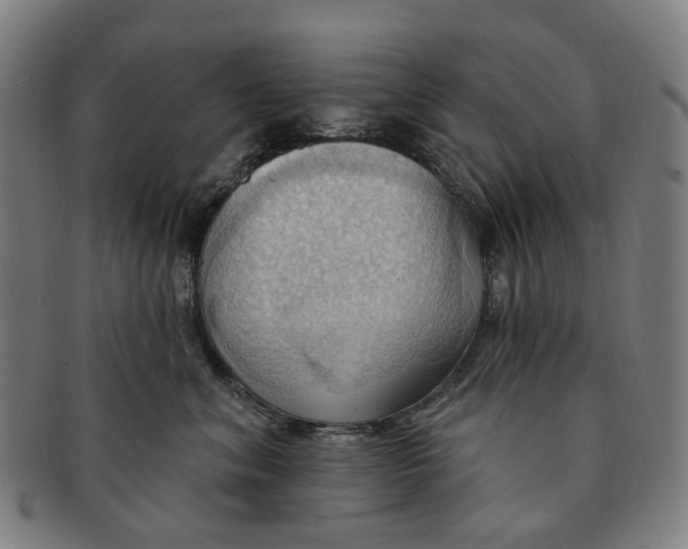 X0000090980620200708301250