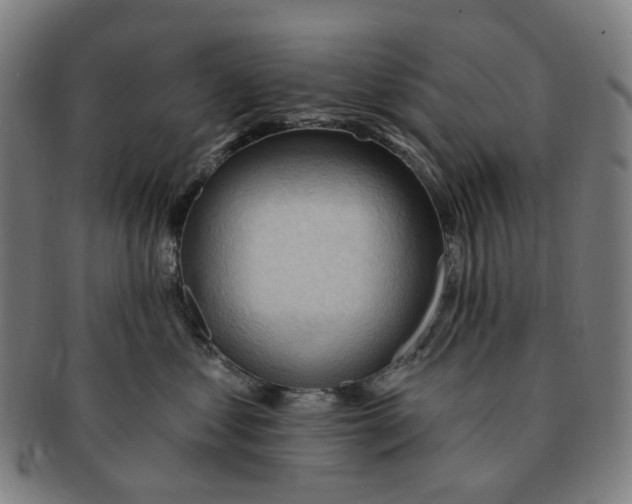 X0000090980621200708301250