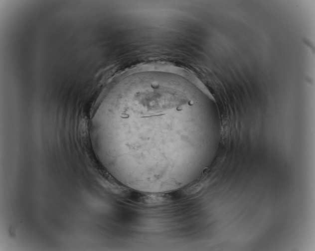 X0000090980623200708301250