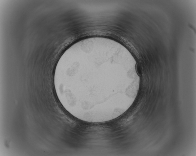 X0000090980625200708301250