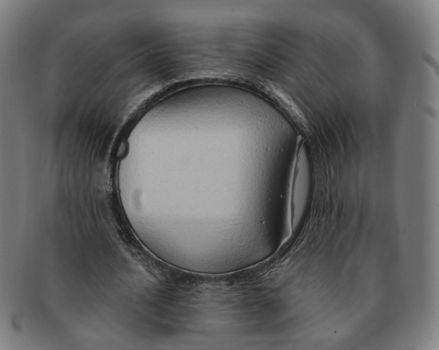X0000090980628200708301250