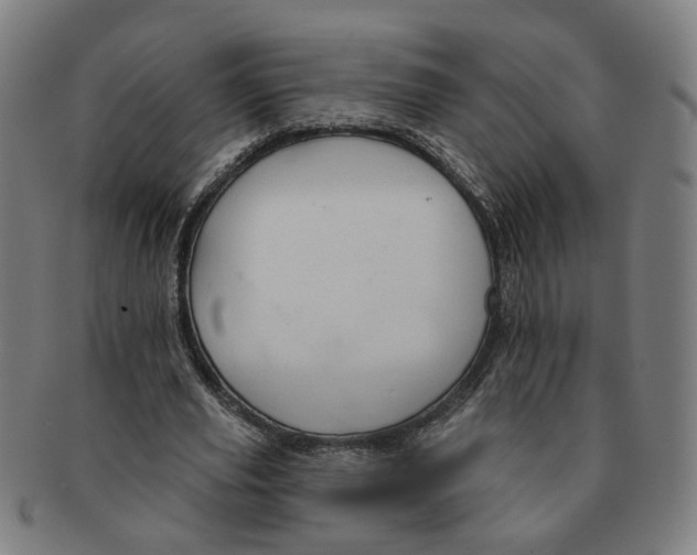 X0000090980629200708301250