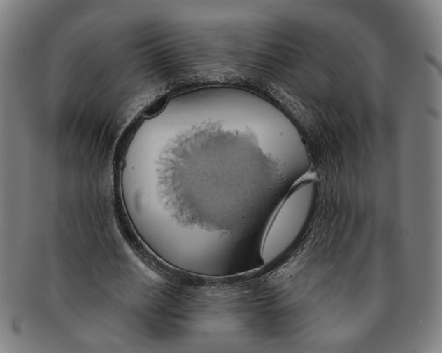 X0000090980630200708301250