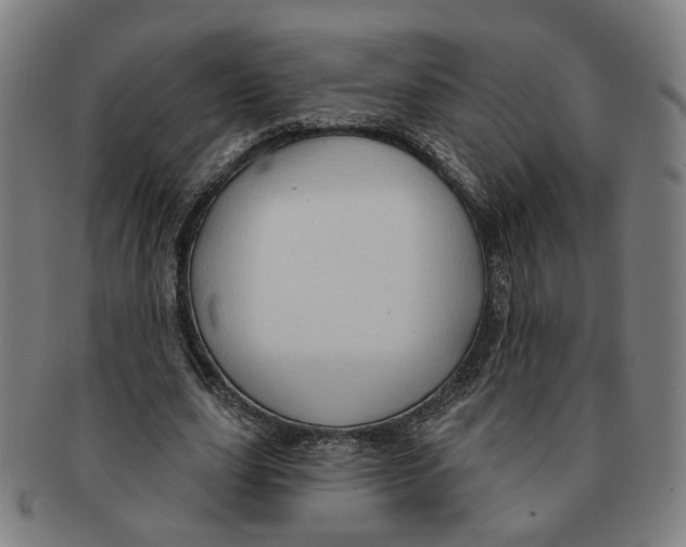 X0000090980631200708301250