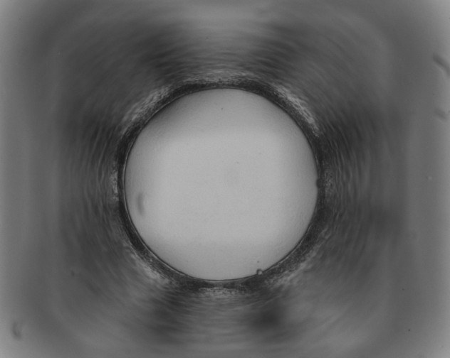 X0000090980633200708301250