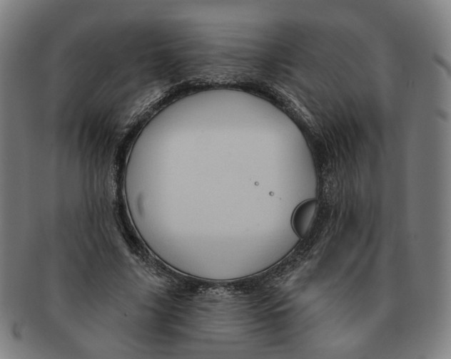 X0000090980635200708301250