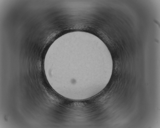 X0000090980636200708301250