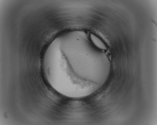 X0000090980637200708301250