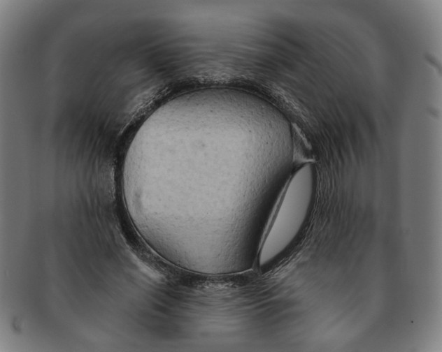X0000090980638200708301250