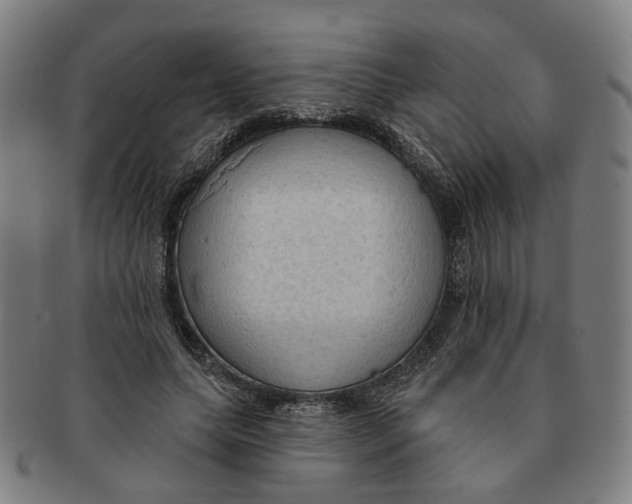 X0000090980639200708301250
