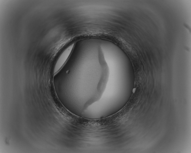 X0000090980640200708301250