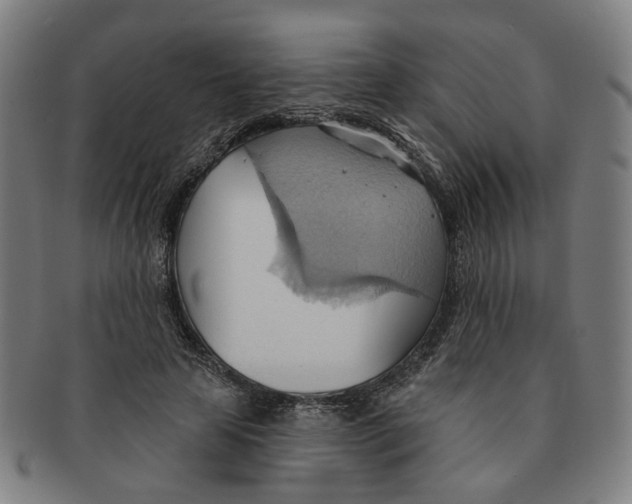 X0000090980641200708301250