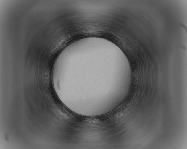 X0000090980642200708301250